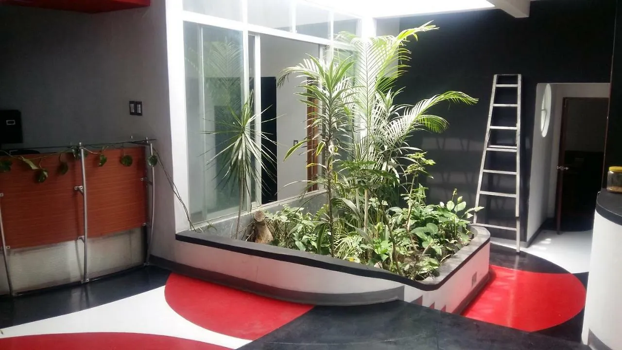 Apartments And Rooms Distecon Guatemala